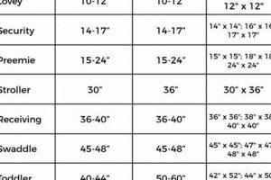 Crochet Baby Blanket Size Guide: Dimensions & More | Baby Care 101: Essential Tips for Happy, Healthy Babies