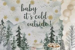 Chic Winter Baby Shower Decorations Ideas + More! | Baby Care 101: Essential Tips for Happy, Healthy Babies
