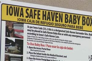 Iowa Safe Haven Babies: February's Safe Option | Baby Care 101: Essential Tips for Happy, Healthy Babies