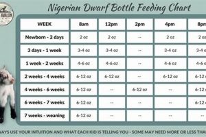 Guide: Baby Goat Bottle Feeding Chart & Schedule Tips | Baby Care 101: Essential Tips for Happy, Healthy Babies