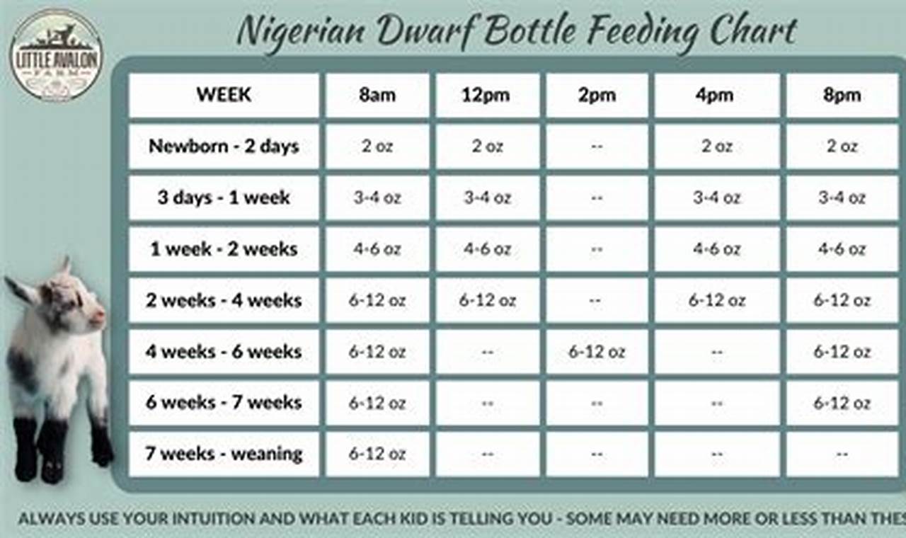 Guide: Baby Goat Bottle Feeding Chart & Schedule Tips | Baby Care 101: Essential Tips for Happy, Healthy Babies