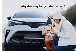 Baby Car Aversion: Why Does My Baby Hate the Car? & Solutions | Baby Care 101: Essential Tips for Happy, Healthy Babies