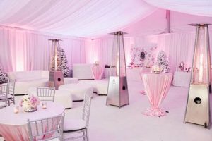 Find Halls to Rent for Baby Shower Near Me: Options & Tips | Baby Care 101: Essential Tips for Happy, Healthy Babies