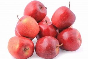 Tiny Treats: The Sweet Side of Baby Apples! | Baby Care 101: Essential Tips for Happy, Healthy Babies
