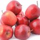 Tiny Treats: The Sweet Side of Baby Apples! | Baby Care 101: Essential Tips for Happy, Healthy Babies