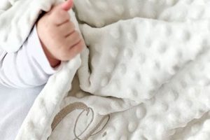 Embrace Cozy: Luxury Baby Blankets Personalized Gifts | Baby Care 101: Essential Tips for Happy, Healthy Babies