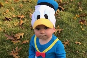 Adorable Donald Duck Costume Baby Outfit For Halloween! | Baby Care 101: Essential Tips for Happy, Healthy Babies