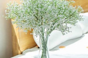 Buy Silk Baby's Breath Bulk Now - Cheap Floral Decor! | Baby Care 101: Essential Tips for Happy, Healthy Babies