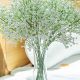 Buy Silk Baby's Breath Bulk Now - Cheap Floral Decor! | Baby Care 101: Essential Tips for Happy, Healthy Babies