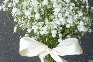 Buy Your Delicate Baby's Breath Bouquet Online Today! | Baby Care 101: Essential Tips for Happy, Healthy Babies