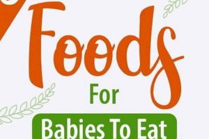 Best High Fiber Baby Food: Recipes & Benefits | Baby Care 101: Essential Tips for Happy, Healthy Babies
