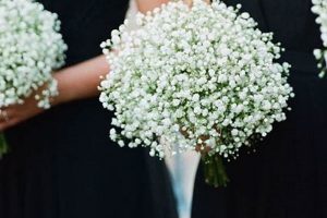 Buy Delicate Baby's Breath Flower Bouquet Online - [Shop Name] | Baby Care 101: Essential Tips for Happy, Healthy Babies