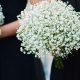 Buy Delicate Baby's Breath Flower Bouquet Online - [Shop Name] | Baby Care 101: Essential Tips for Happy, Healthy Babies