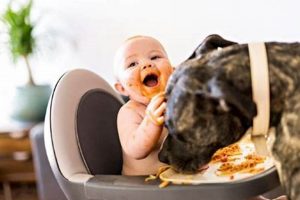 Help! My Baby Ate Dog Food? What To Do Baby Care 101: Essential Tips for Happy, Healthy Babies Help! My Baby Ate Dog Food? What To Do | Baby Care 101: Essential Tips for Happy, Healthy Babies