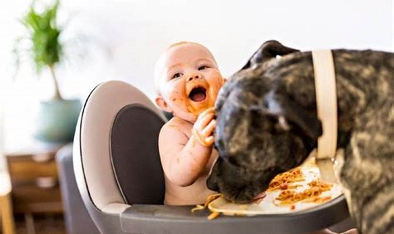 Help! My Baby Ate Dog Food? What To Do | Baby Care 101: Essential Tips for Happy, Healthy Babies