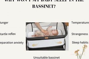 My Baby Doesn't Want to Sleep in Bassinet? Tips & Help | Baby Care 101: Essential Tips for Happy, Healthy Babies