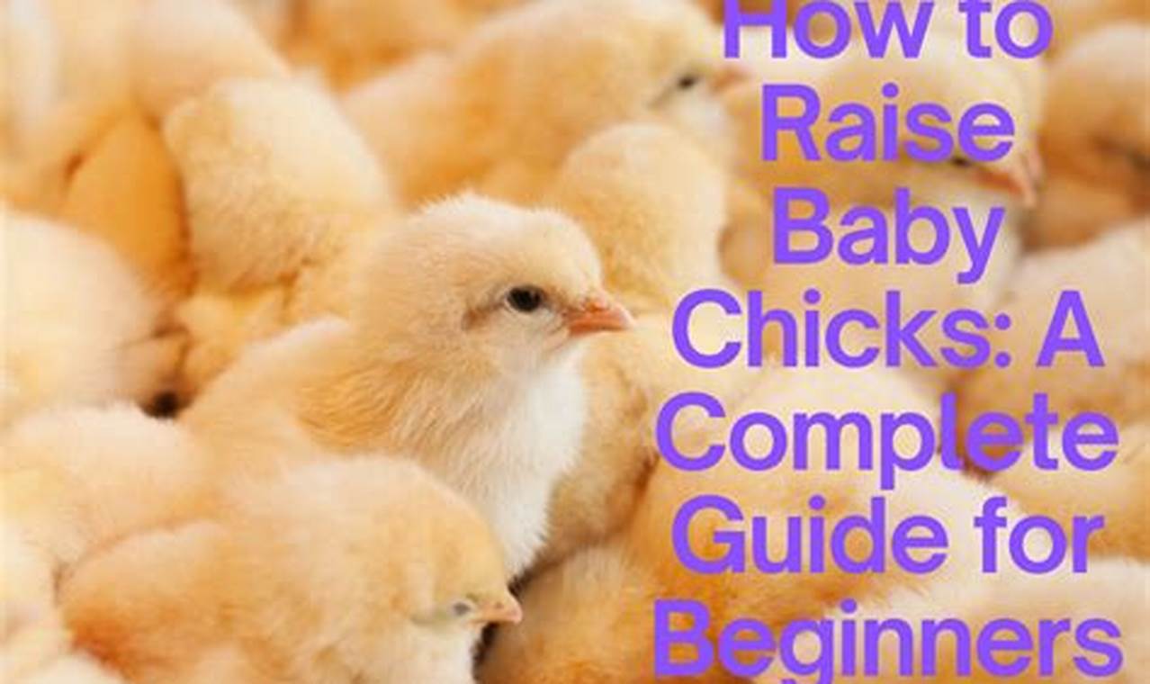 Guide: How to Raise Baby Chicks (Beginner's Tips!) | Baby Care 101: Essential Tips for Happy, Healthy Babies