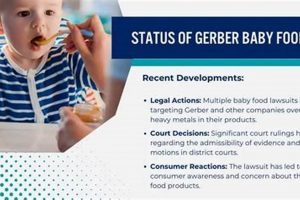 Baby Food Lawsuit: Gerber Case Dismissed - What It Means | Baby Care 101: Essential Tips for Happy, Healthy Babies