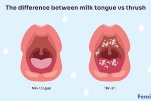 Baby's vs Babies: Grammar Tips for Infant Care Baby Care 101: Essential Tips for Happy, Healthy Babies Baby's vs Babies: Grammar Tips for Infant Care | Baby Care 101: Essential Tips for Happy, Healthy Babies