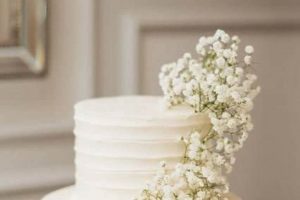 Delicate Charm: Babys Breath Wedding Cake Ideas & Inspiration | Baby Care 101: Essential Tips for Happy, Healthy Babies