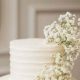 Delicate Charm: Babys Breath Wedding Cake Ideas & Inspiration | Baby Care 101: Essential Tips for Happy, Healthy Babies