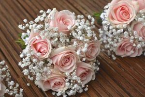 Buy Pink Rose & Baby's Breath Bouquets - [Occasion] | Baby Care 101: Essential Tips for Happy, Healthy Babies