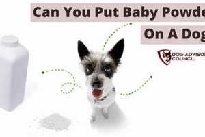 Baby-Safe? Can You Put Baby Powder on Dogs? [Risks] | Baby Care 101: Essential Tips for Happy, Healthy Babies