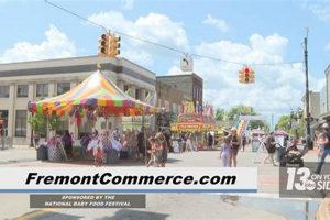 Your Guide to Baby Food Festival 2024 - [City] Edition! | Baby Care 101: Essential Tips for Happy, Healthy Babies