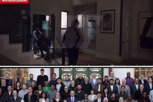 Is a Lil Baby Harvard Certificate Real? The Truth | Baby Care 101: Essential Tips for Happy, Healthy Babies