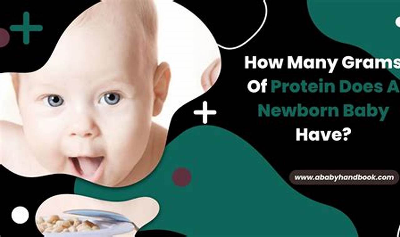 Newborn Protein: How Many Grams Does Baby Need? Baby Care 101: Essential Tips for Happy, Healthy Babies Newborn Protein: How Many Grams Does Baby Need? | Baby Care 101: Essential Tips for Happy, Healthy Babies