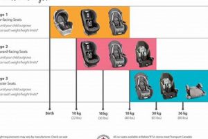 Guide to Baby Car Seat Stages: Safety First | Baby Care 101: Essential Tips for Happy, Healthy Babies
