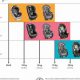 Guide to Baby Car Seat Stages: Safety First | Baby Care 101: Essential Tips for Happy, Healthy Babies
