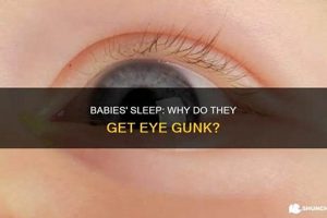 Baby Sleep: Why Do Babies Sleep with Eyes Open? + Tips | Baby Care 101: Essential Tips for Happy, Healthy Babies