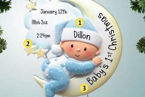 First Christmas 2024 Baby Boy Ornament - Keepsake Gift | Baby Care 101: Essential Tips for Happy, Healthy Babies