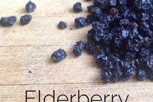 Is Elderberry Safe for Babies? Uses & Precautions Baby Care 101: Essential Tips for Happy, Healthy Babies Is Elderberry Safe for Babies? Uses & Precautions | Baby Care 101: Essential Tips for Happy, Healthy Babies