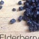 Is Elderberry Safe for Babies? Uses & Precautions | Baby Care 101: Essential Tips for Happy, Healthy Babies