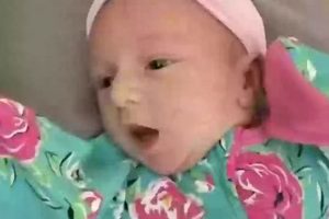 Prevent Baby Uriel Hot Car Deaths: Safety Tips Baby Care 101: Essential Tips for Happy, Healthy Babies Prevent Baby Uriel Hot Car Deaths: Safety Tips | Baby Care 101: Essential Tips for Happy, Healthy Babies