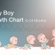 Melodies of Boyhood: Songs About Baby Boy Growing Up Journey | Baby Care 101: Essential Tips for Happy, Healthy Babies