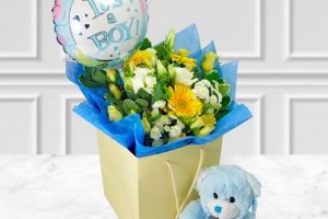 Blue Blooms: Baby Boy Flowers Delivered Today! | Baby Care 101: Essential Tips for Happy, Healthy Babies
