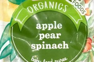 Choosing Little Journey Baby Food: Guide & Reviews | Baby Care 101: Essential Tips for Happy, Healthy Babies