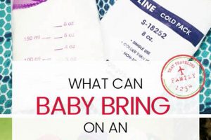 Baby Food Flight Guide: Can I Bring Baby Food on a Plane? Tips! | Baby Care 101: Essential Tips for Happy, Healthy Babies