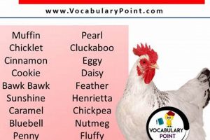 Adorable Baby Chick Names: A Comprehensive Guide | Baby Care 101: Essential Tips for Happy, Healthy Babies