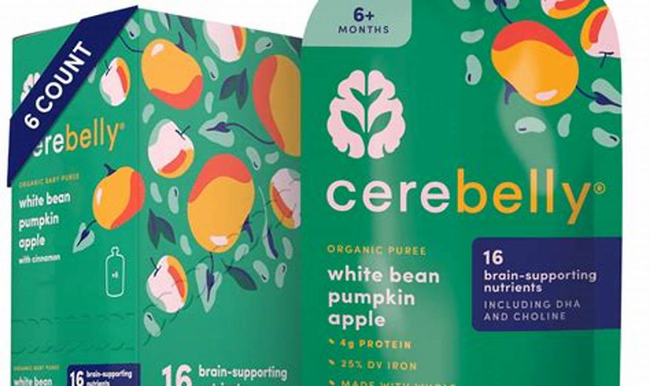 Cerebelly Baby Food & Heavy Metals: Is It Safe? | Baby Care 101: Essential Tips for Happy, Healthy Babies