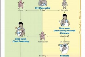 Essential Helping Babies Breathe: Newborn Resuscitation | Baby Care 101: Essential Tips for Happy, Healthy Babies