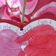 Adorable Baby Valentines Gift for Mom: Heartfelt Ideas | Baby Care 101: Essential Tips for Happy, Healthy Babies