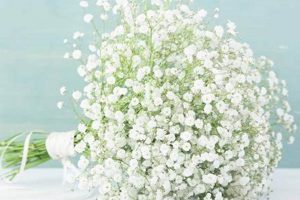 Keep Baby's Breath Fresh: Tips & Tricks | Baby Care 101: Essential Tips for Happy, Healthy Babies
