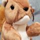 Buy Nuts Beanie Baby: Value, Rarity &amp; More! | Baby Care 101: Essential Tips for Happy, Healthy Babies