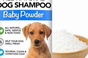 Puppy or Powder? Is Baby Powder Safe for Dogs? Risks Explored | Baby Care 101: Essential Tips for Happy, Healthy Babies