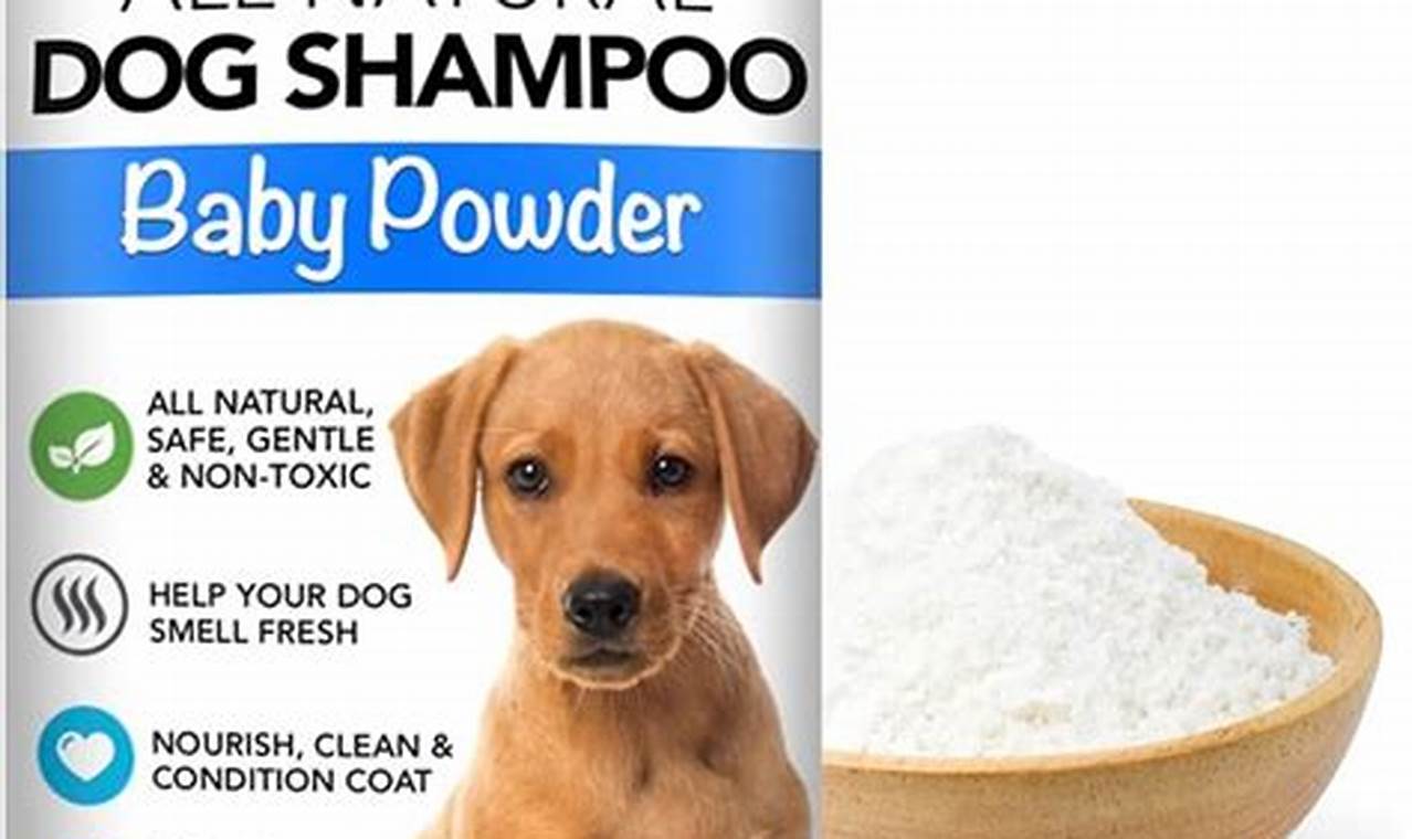 Puppy or Powder? Is Baby Powder Safe for Dogs? Risks Explored | Baby Care 101: Essential Tips for Happy, Healthy Babies