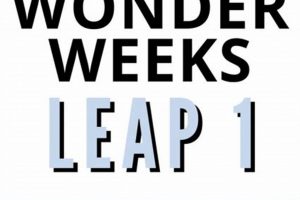 Baby's First Leap: Navigating "Leap 1 Baby" Changes | Baby Care 101: Essential Tips for Happy, Healthy Babies